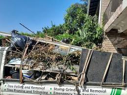 Best Estate Cleanout  in Sappington, MO